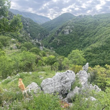 Oasi Affiliata WWF Gole Del Cervati