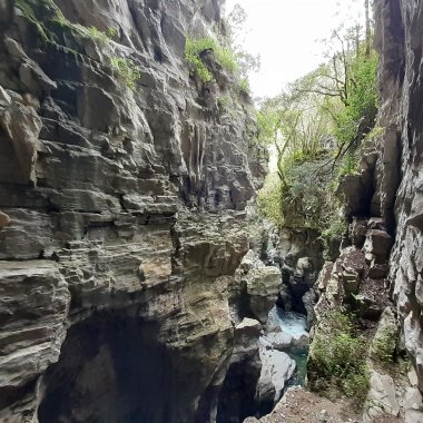 La Résurgence de la Rivière - Oasis WWF Morigerati